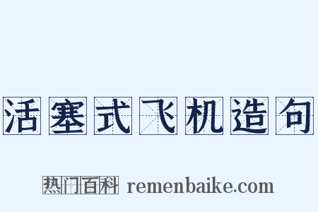 活塞式飞机造句是什么意思的图片